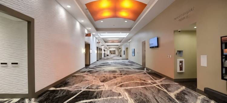 达拉姆市中心万豪酒店(Durham Marriott City Center)图片