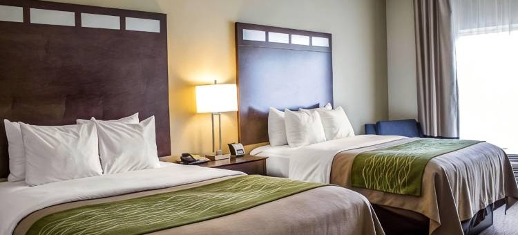舒适酒店(Comfort Inn)图片