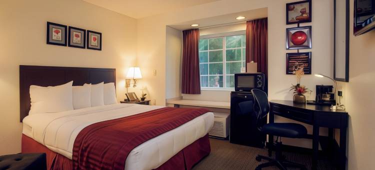 杰克逊维尔机场舒眠酒店(Sleep Inn Jacksonville Airport)图片