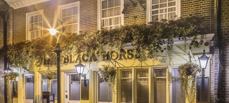 黑马酒店(The Black Horse Inn)图片