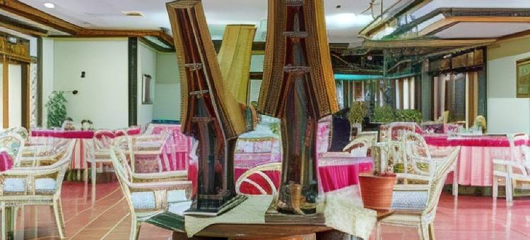萨希德托拉雅酒店(Hotel Sahid Toraja)图片