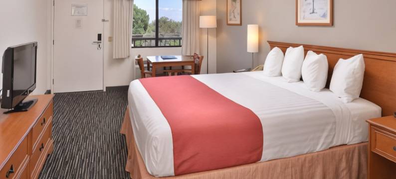 宜人酒店(Pleasant Inn)图片