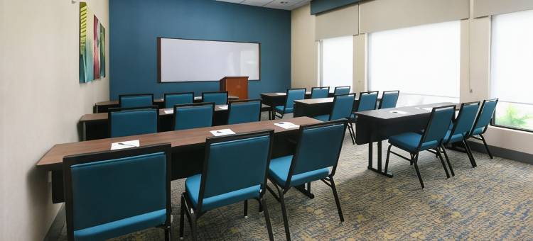 希尔顿欢朋套房酒店-休斯顿医学中心/雷莱恩公园(Hampton Inn & Suites Houston Medical Center NRG)图片