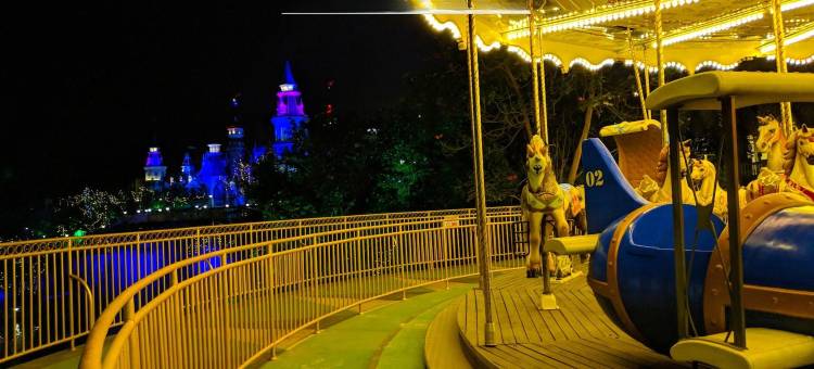 Hotel O New Pune图片