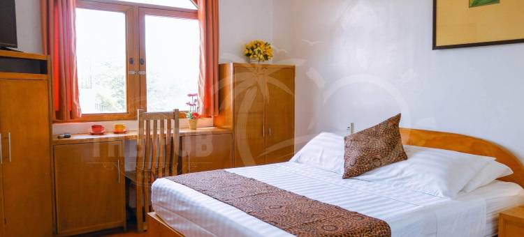 酒吧酒店(The Pub Hotel)图片