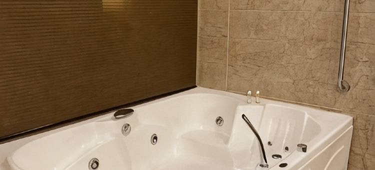 斯里纳格福朋喜来登酒店(Four Points by Sheraton Srinagar)图片