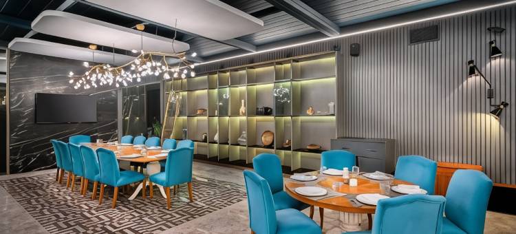 安卡拉市中心酒店(Downtown Ankara Hotel)图片