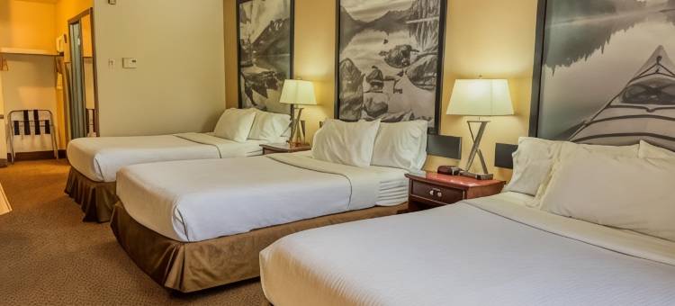 高河温德姆速8酒店(Super 8 by Wyndham High River AB)图片