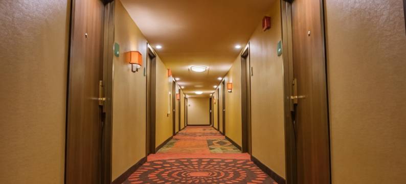 MTK芒特凯斯科酒店(Hotel Mtk Mount Kisco)图片