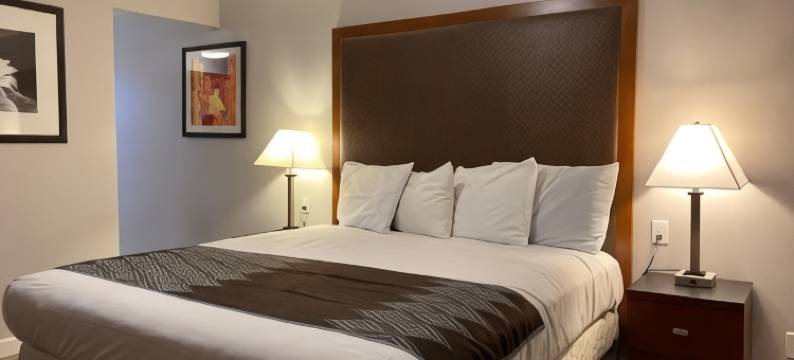 克罗尼尔汽车旅馆(Colonial Motel)图片