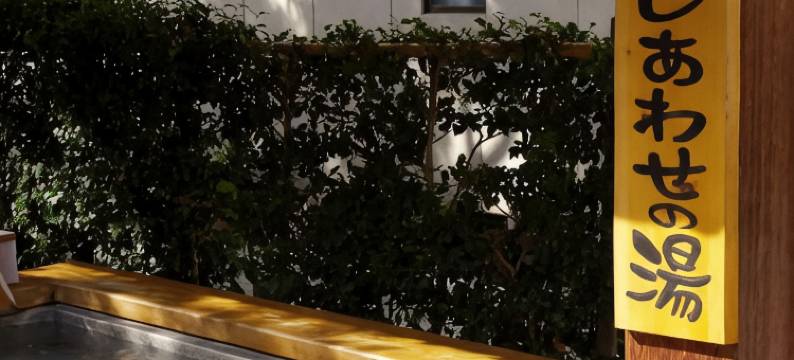 Horieya 日式旅馆(Horieya Ryokan)图片