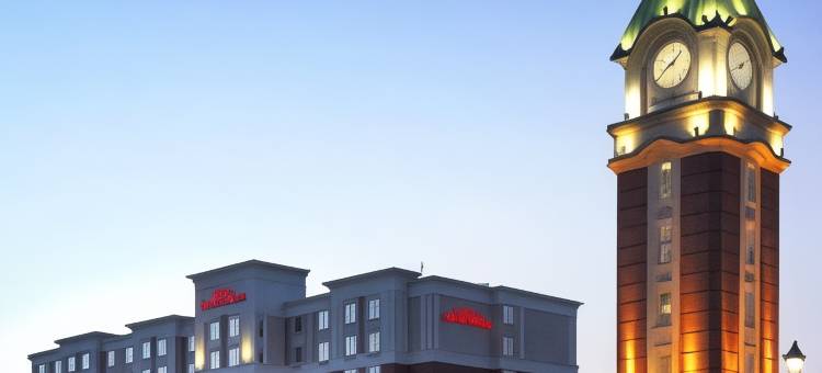 希尔顿花园旅馆-托雷多佩里斯堡(Hilton Garden Inn Toledo Perrysburg)图片