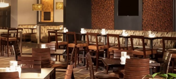 奥斯汀-植物园希尔顿安泊酒店(Embassy Suites by Hilton Austin Arboretum)图片