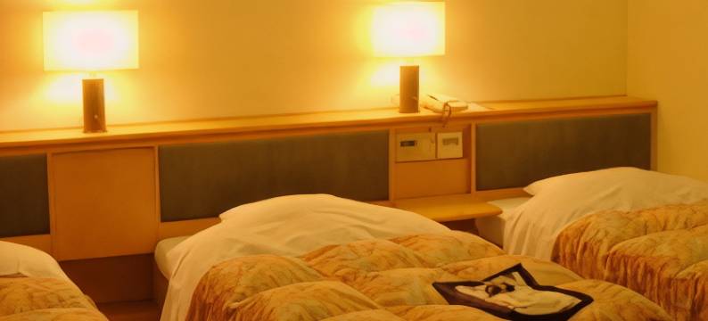 星罗四万十酒店(Hotel Seira-Shimanto)图片