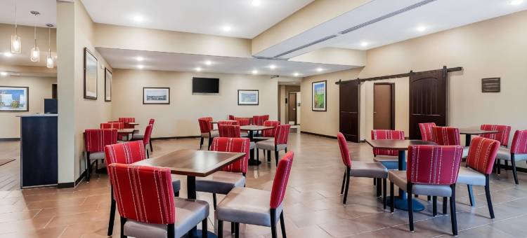 舒适套房酒店-拉威斯达奥马哈(Comfort Suites)图片