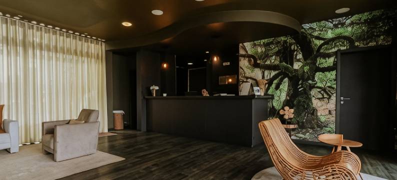 欧罗莫尼斯酒店(Hotel Euro Moniz)图片