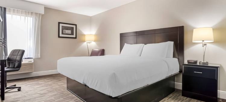 河湾贝斯特韦斯特酒店(Best Western Bayou Inn)图片