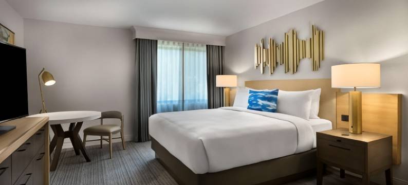 索内斯塔硅谷(Sonesta Silicon Valley)图片