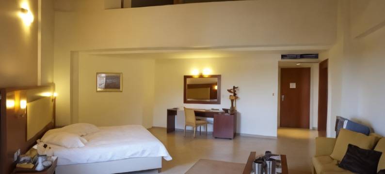 帕尼斯宫殿套房酒店(Parnis Palace)图片