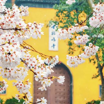 南京博物院+南京总统府3日2晚私家团