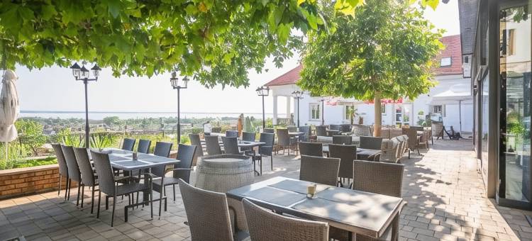 泽尼特巴拉顿酒店(Zenit Wellness Hotel Balaton)图片
