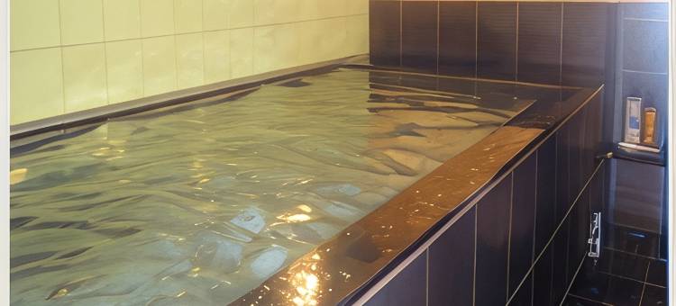 新泻皇冠山酒店(Hotel Crown Hills Niigata)图片