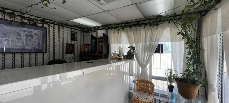 佛罗里达花园汽车旅馆温特黑文靠近乐高乐园(Florida Garden Motel Winter Haven Near LEGOLAND)图片