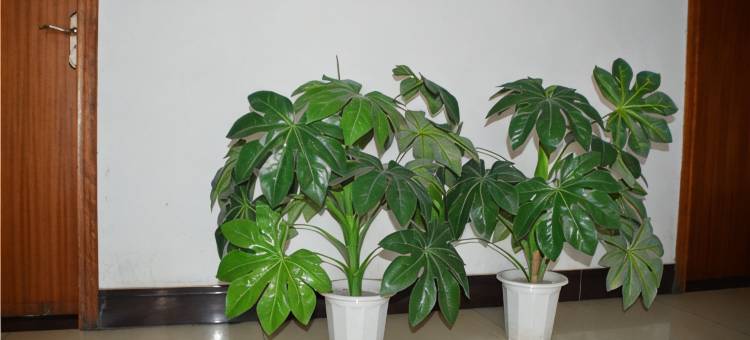 平顺电影招待所图片