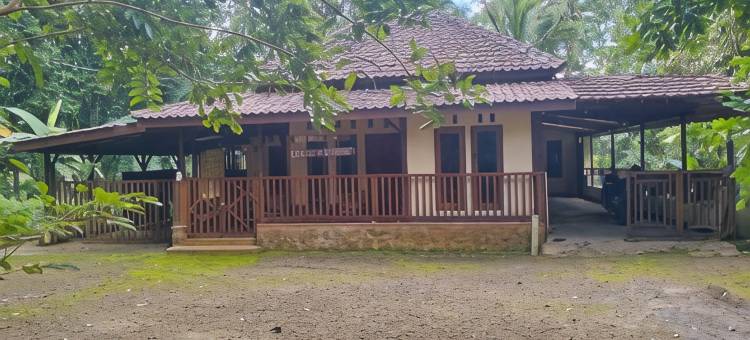 维拉恩德利克宜珍(Villa Ndelik Ijen)图片
