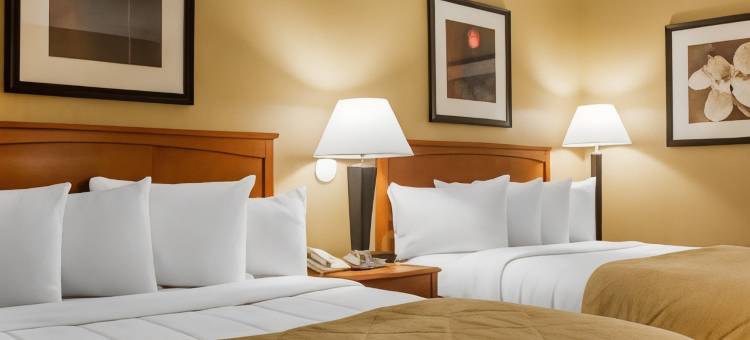 河滨凯隆套房酒店(Clarion Hotel & Suites Riverfront)图片