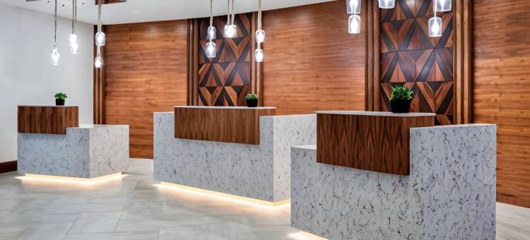 达拉斯拉斯科林纳斯万豪酒店(Marriott Dallas Las Colinas)图片