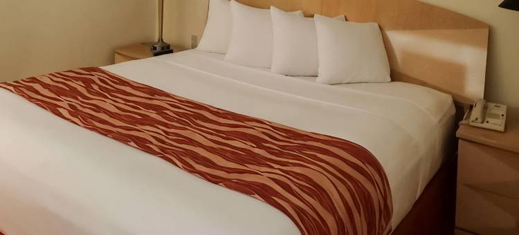 南迈阿密-科勒尔盖布尔斯罗德威旅馆(Rodeway Inn South Miami - Coral Gables)图片