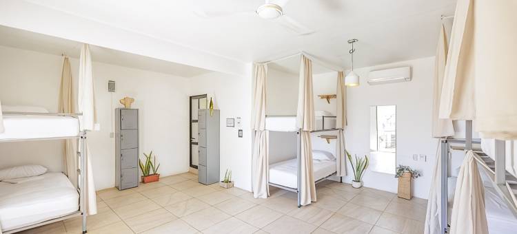 冲浪巢旅舍(SurfNest Hostel)图片