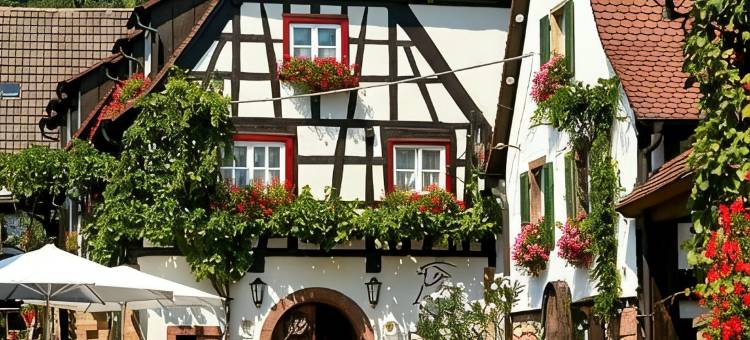 Gasthof Zum Lam图片