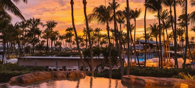希尔顿阿鲁巴加勒比度假村的韦斯特利(The Westerly at Hilton Aruba Caribbean Resort)图片