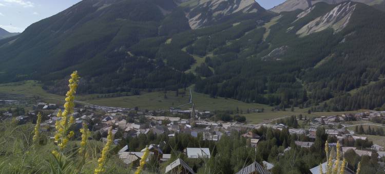 阿利 SPA 酒店(Alliey & Spa Piscine Appart-hôtel Serre Chevalier)图片