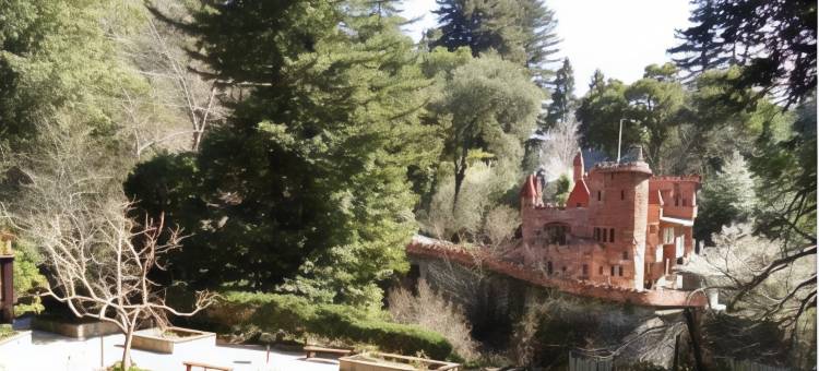圣克鲁兹山凯艺套房酒店(Quality Inn & Suites Santa Cruz Mountains)图片