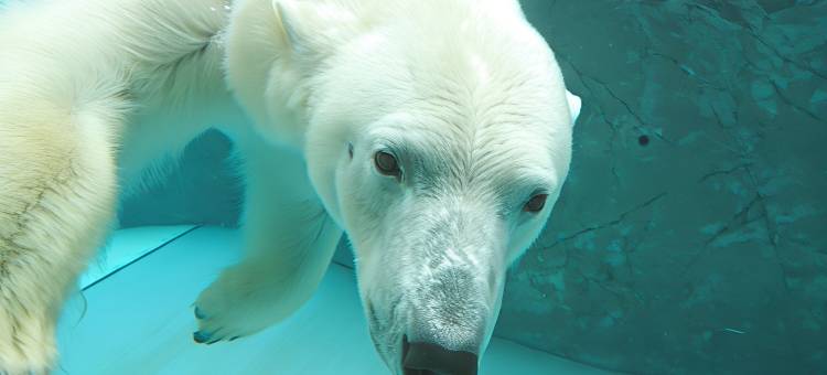 旭川潮流酒店(Hotel Trend Asahikawa)图片