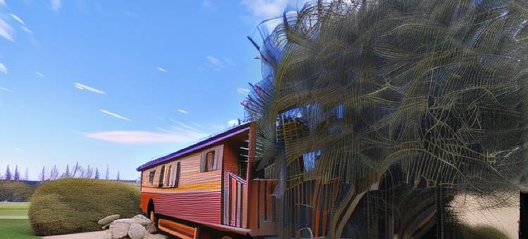 曼侬的露蓬房车旅馆(Roulotte Chez Manon en Luberon)图片