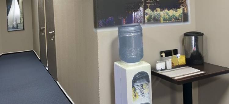 纳宇知诺伊酒店(Mini-Hotel na Yuzhnoy)图片
