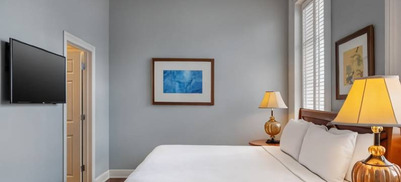 新奥尔良法国区庭院酒店及套房(New Orleans Courtyard Hotel by the French Quarter)图片