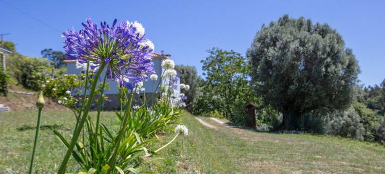 科斯特拉庄园 - 蓝色利莫阿尔之家(Quinta da Costeira - Casa Azul do Limoal by Alponte)图片