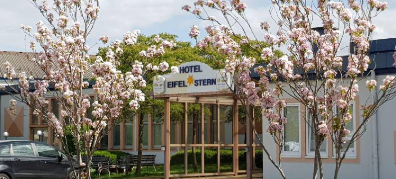 比特堡酒店(Hotel Bitburg)图片