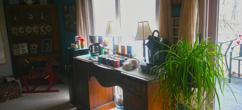 小黑熊旅馆(Lil Black Bear Inn)图片