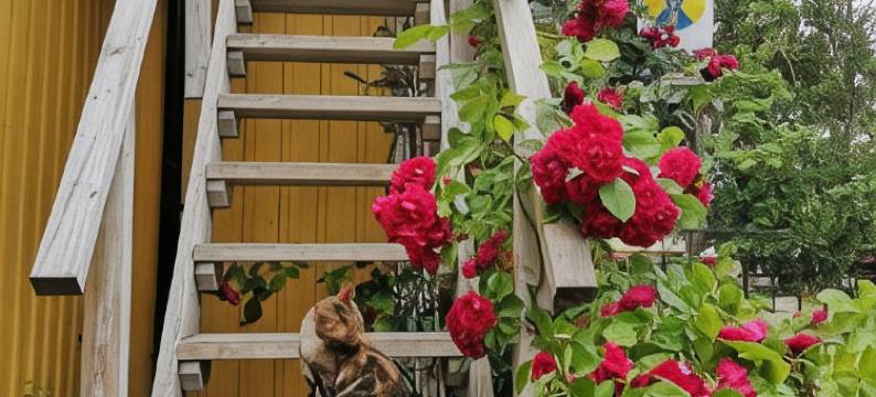 STF 旅馆哈格拜农场 - 青年旅舍(Lantgården Hagaby)图片