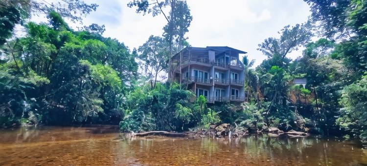 辛哈拉加观鸟小屋(Sinharaja Birder's Lodge)图片