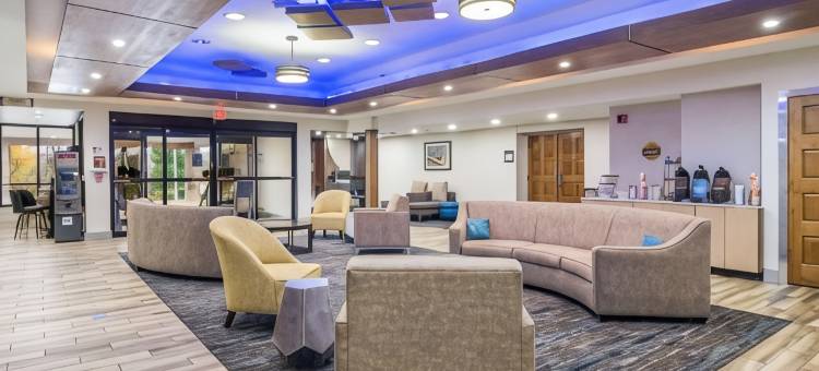 舒适酒店及套房(Comfort Inn & Suites)图片