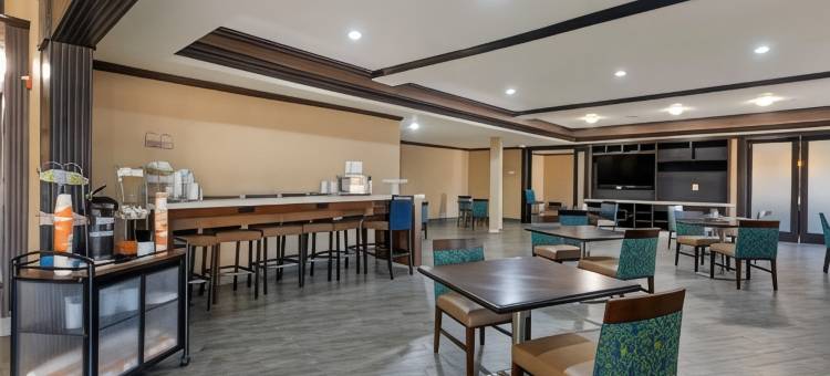 舒适套房酒店-盖恩斯维尔(Comfort Suites Gainesville)图片