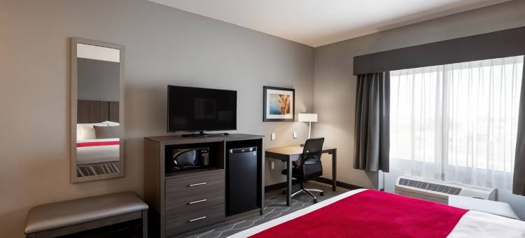 劳伦斯石头山酒店，温德姆Trademark精选(StoneHill Lawrence, Trademark Collection by Wyndham)图片