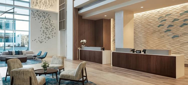 默特尔比奇海洋内飞地希尔顿分时度假俱乐部(Hilton Grand Vacations Club Ocean Enclave Myrtle Beach)图片